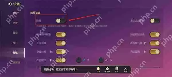 金铲铲之战隐身设置攻略