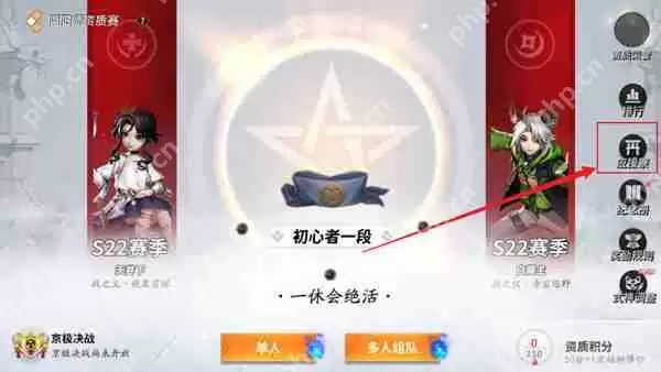 决战！平安京查看式神战力排名攻略