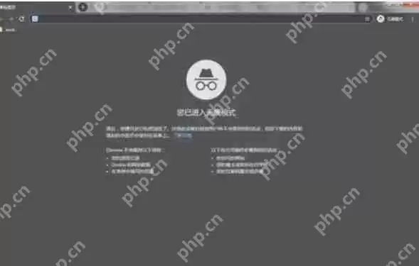 谷歌浏览器怎么模拟手机-谷歌浏览器模拟手机的方法