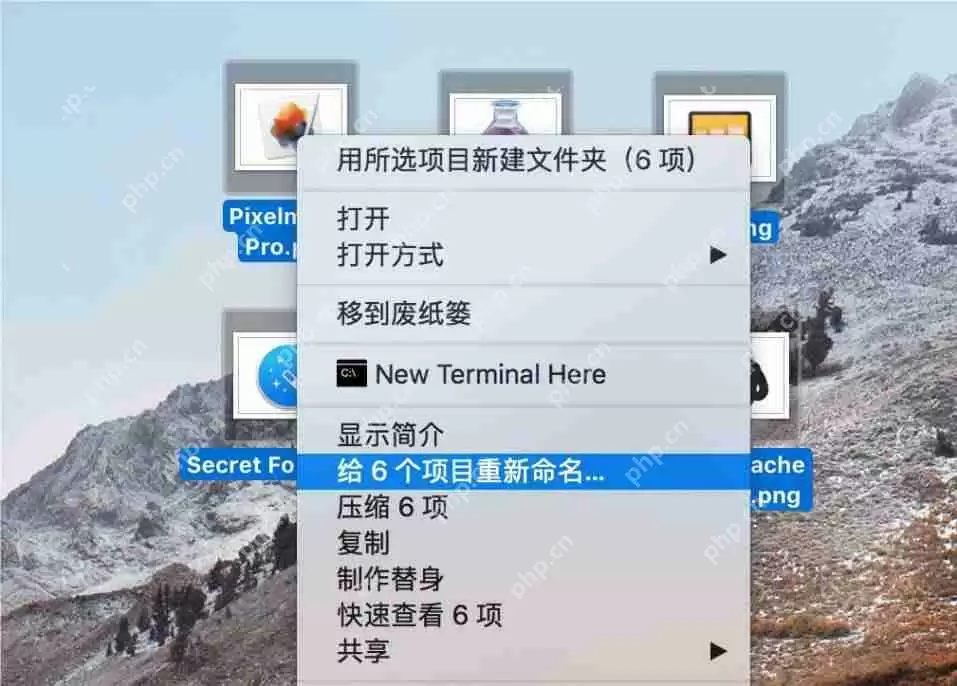 如何使用 macOS 系统自带功能进行文件批量重命名操作教程