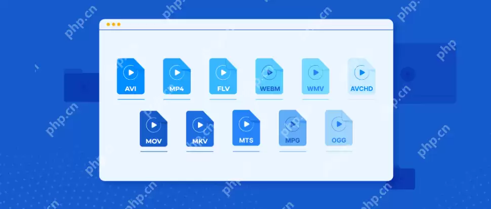 什么是视频格式？电脑常见的视频格式有哪些你知道吗？