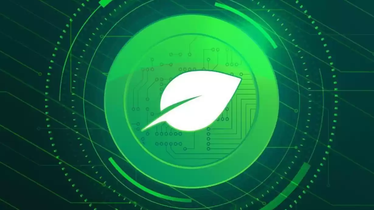 xch币还有希望吗