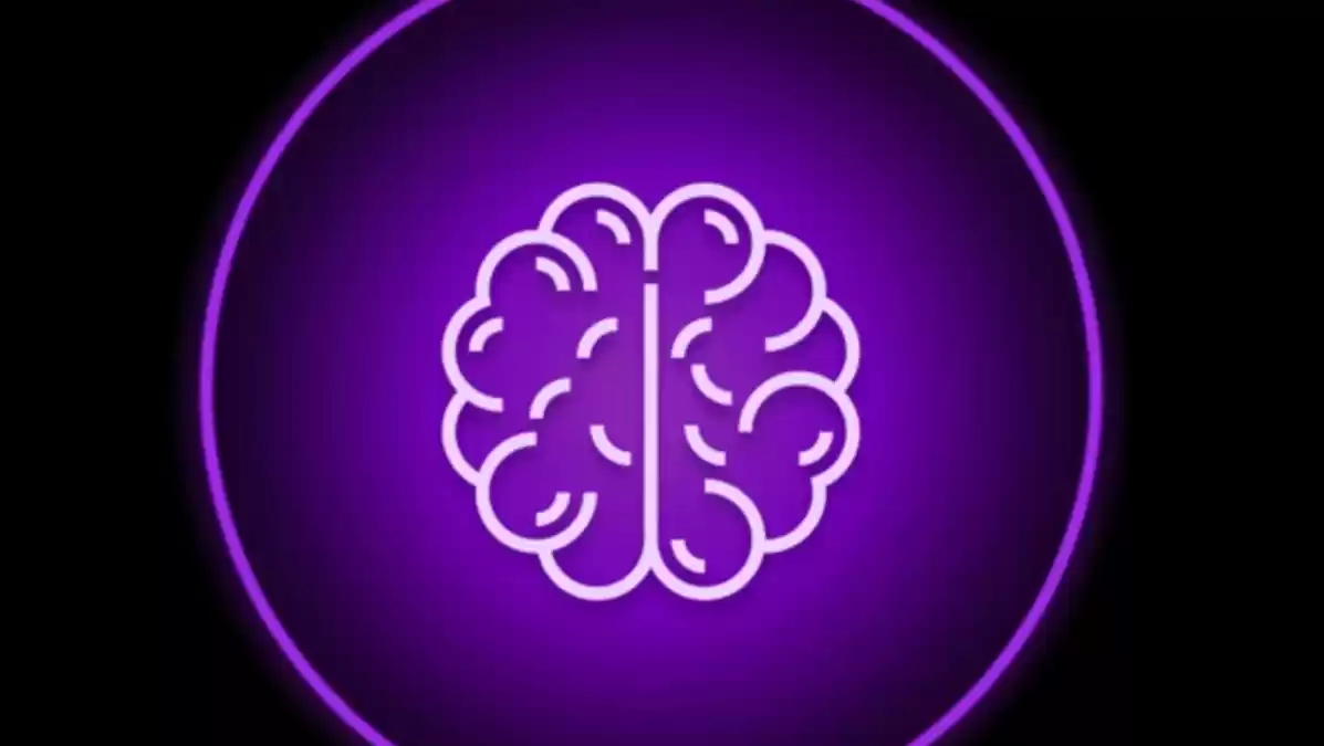 PAAL币是什么币?什么是PAAL币