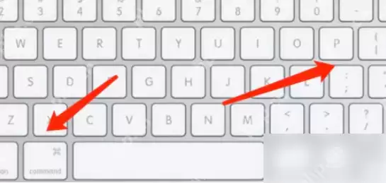 有道云笔记如何打印?有道云笔记打印的方法