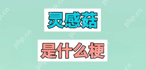 灵感菇是什么梗 抖音灵感菇梗的意思出处解释