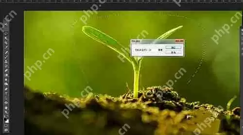 photoshop7.0怎么做羽化？photoshop7.0羽化效果使用方法