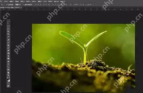photoshop7.0怎么做羽化？photoshop7.0羽化效果使用方法