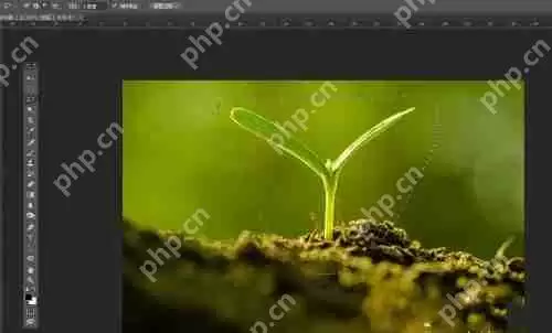 photoshop7.0怎么做羽化？photoshop7.0羽化效果使用方法