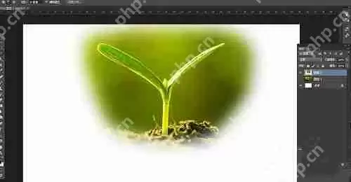 photoshop7.0怎么做羽化？photoshop7.0羽化效果使用方法