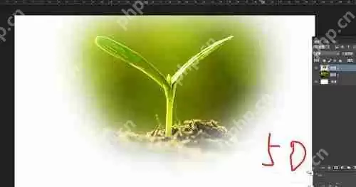 photoshop7.0怎么做羽化？photoshop7.0羽化效果使用方法