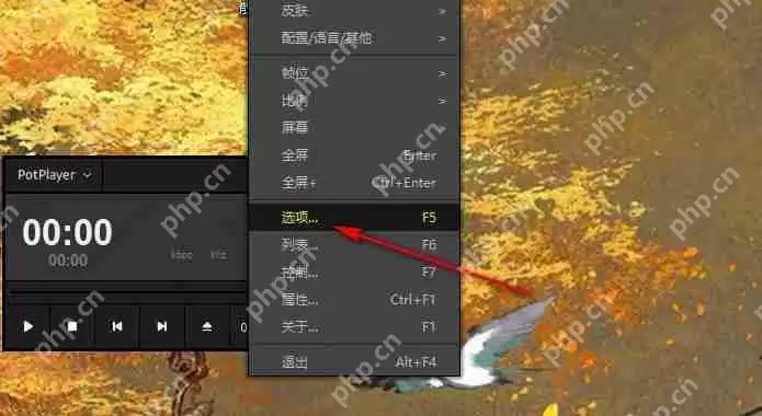 potplayer如何开启硬件解码？potplayer设置硬件解码的两种方法