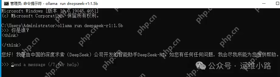 DeepSeek最简单搭建方法(win版本)