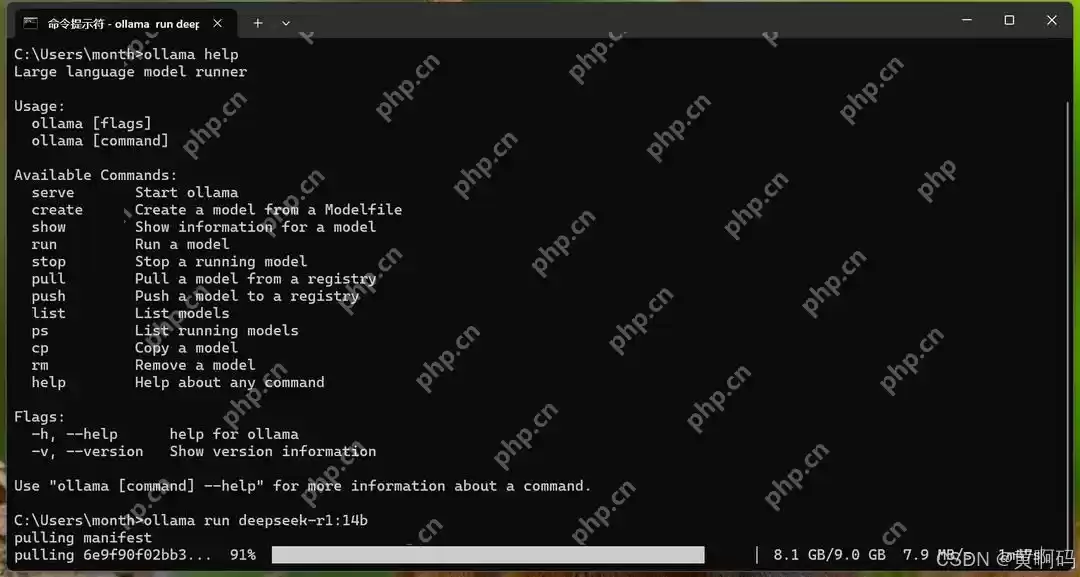 【黄啊码】一篇文章告诉你如何本地部署DeepSeek
