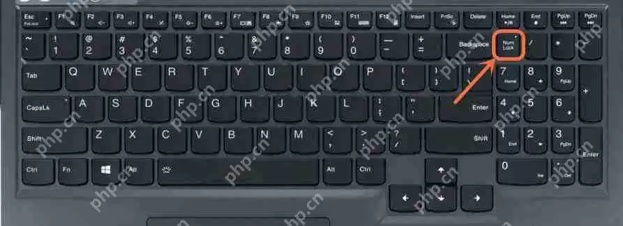 键盘小键盘数字键打不出来怎么解锁？