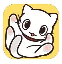 猫咪饲养日常