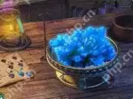 密室逃脱绝境系列4迷失森林金粉位置在哪-密室逃脱绝境系列4迷失森林金粉的所在之处