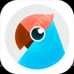 出国翻译手机app排行榜前十名