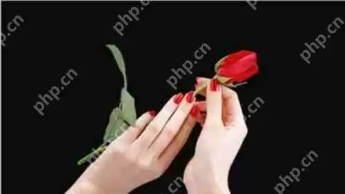 使用PS如何去更换背景颜色？使用PS更换背景颜色的方法