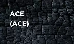 ACE币技术图