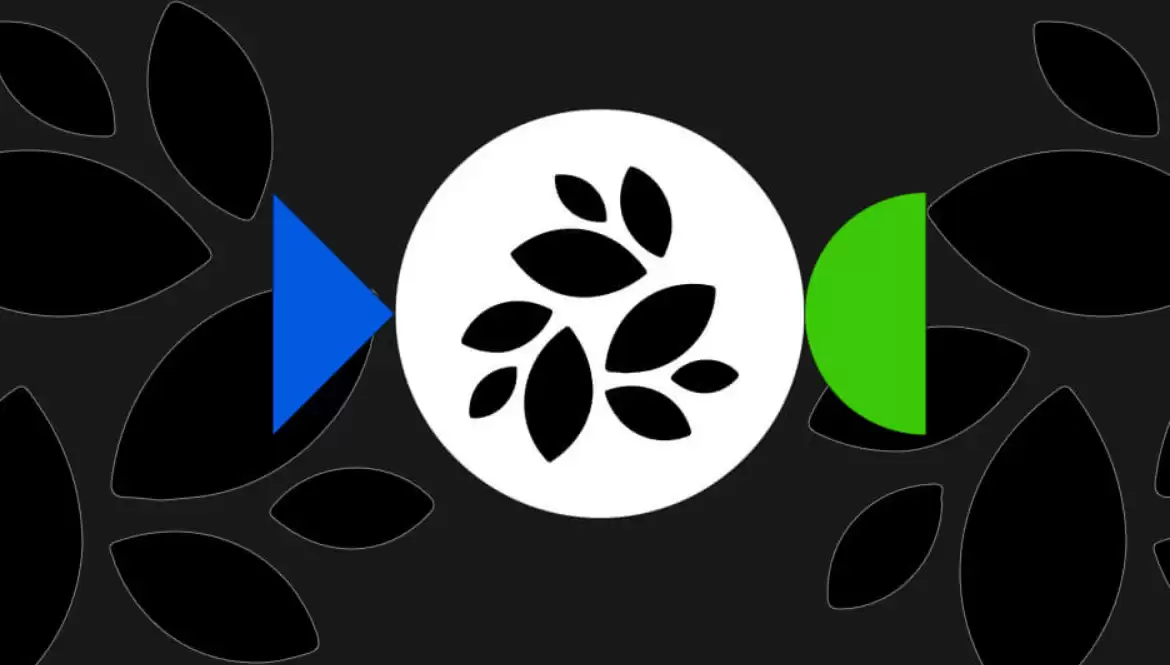 nkn币是否适合长期持有