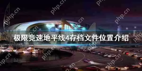 极限竞速地平线4存档在哪里