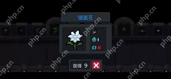 元气骑士天赋类种子大全