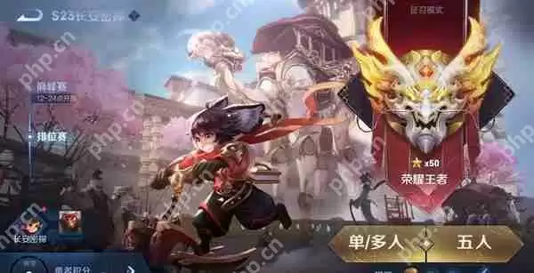 王者荣耀巅峰挑战赛是什么意思