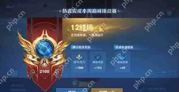 王者荣耀巅峰挑战赛是什么意思