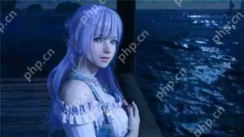 死或生维纳斯璀璨假期配置要求一览