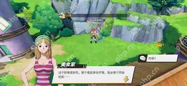 航海王热血航线风车村探索任务完成攻略