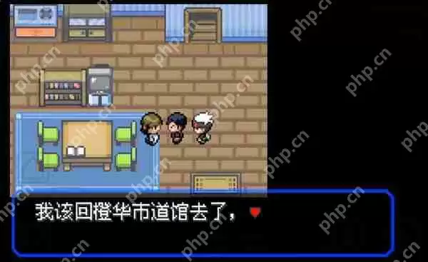 口袋妖怪究极绿宝石4.b作弊码大全最新