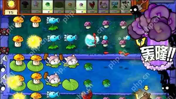 植物大战僵尸游戏无法打开解决方法