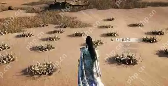 燕云十六声箫吟千浪升级材料怎么获取  燕云十六声箫吟千浪升级材料获取方法