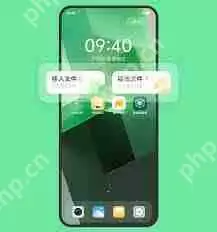 vivos9怎么导入导出联系人-教你vivos9一键备份和恢复联系人信息