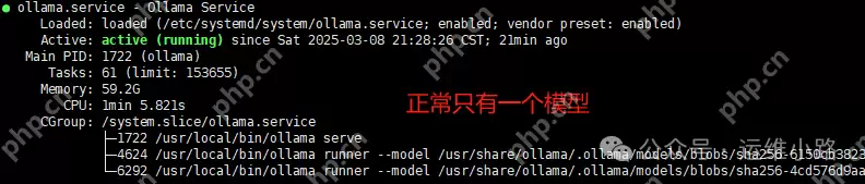 DeepSeek-单机多卡折腾记