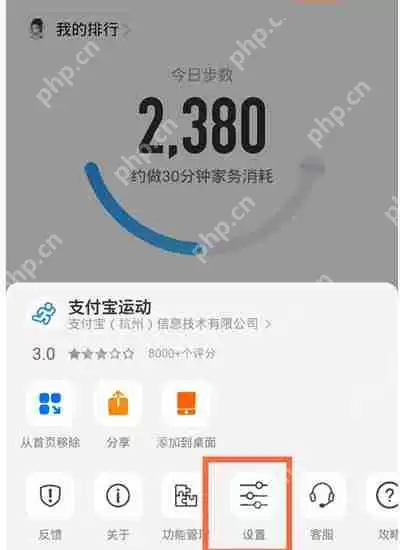 支付宝怎么开启运动记录