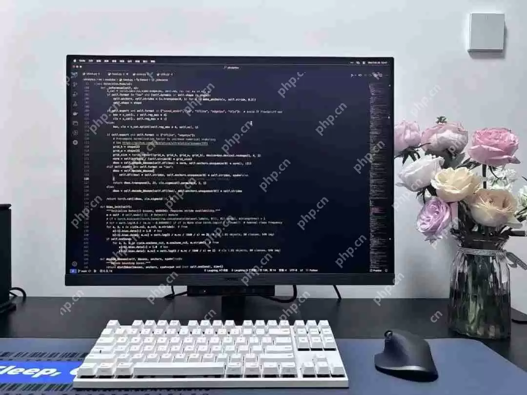 请教了DeepSeek，才知道居然真的有适合程序员用的编程显示器。。