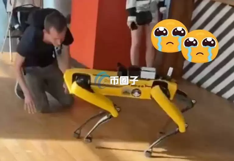 以太坊创始人V神对机器人喵喵叫！引发币圈网友热议