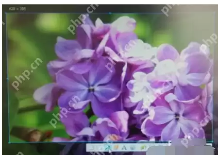 电脑怎么截屏？电脑截屏的方法