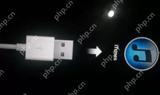 小编告诉你苹果手机连接电脑没反应怎么办