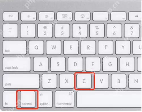 苹果系统清理内存的方法