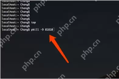 苹果系统清理内存的方法