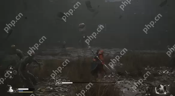 黑神话悟空金池长老打法技巧图文攻略详解