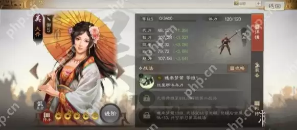 三国志战棋版吴国火烧流阵容搭配