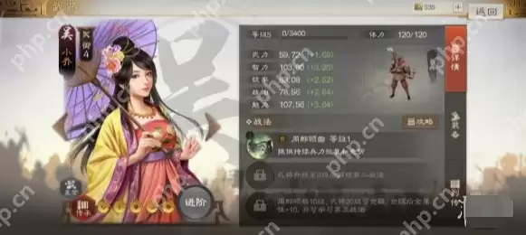 三国志战棋版吴国火烧流阵容搭配