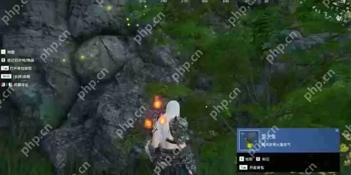 永劫无间火罗国萤火虫位置-火罗国萤火虫刷新点