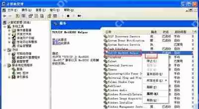 WinXP系统电脑鼠标指针样式的修改方法