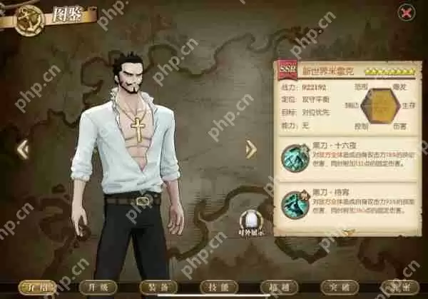 航海王燃烧意志SSR新世界米霍克攻略