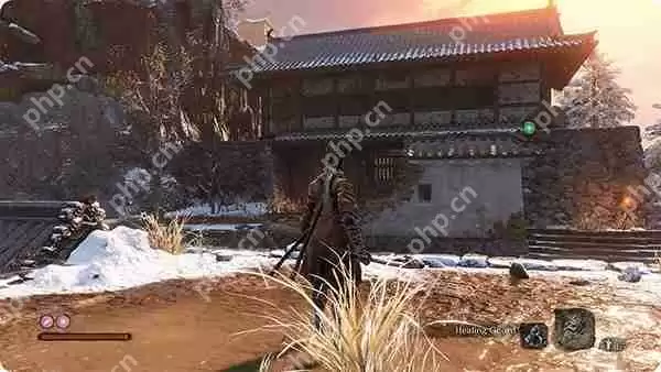 只狼影逝二度PS4手柄无法使用解决方法