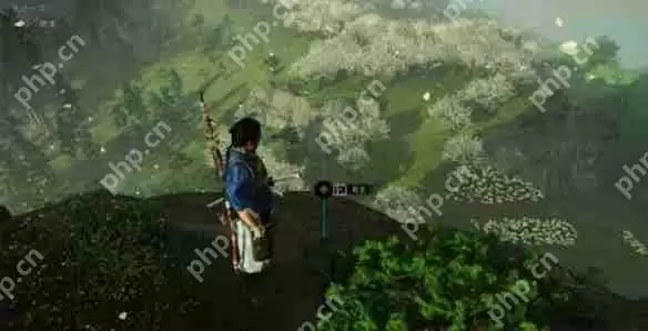 对马岛之魂天下一刀任务攻略